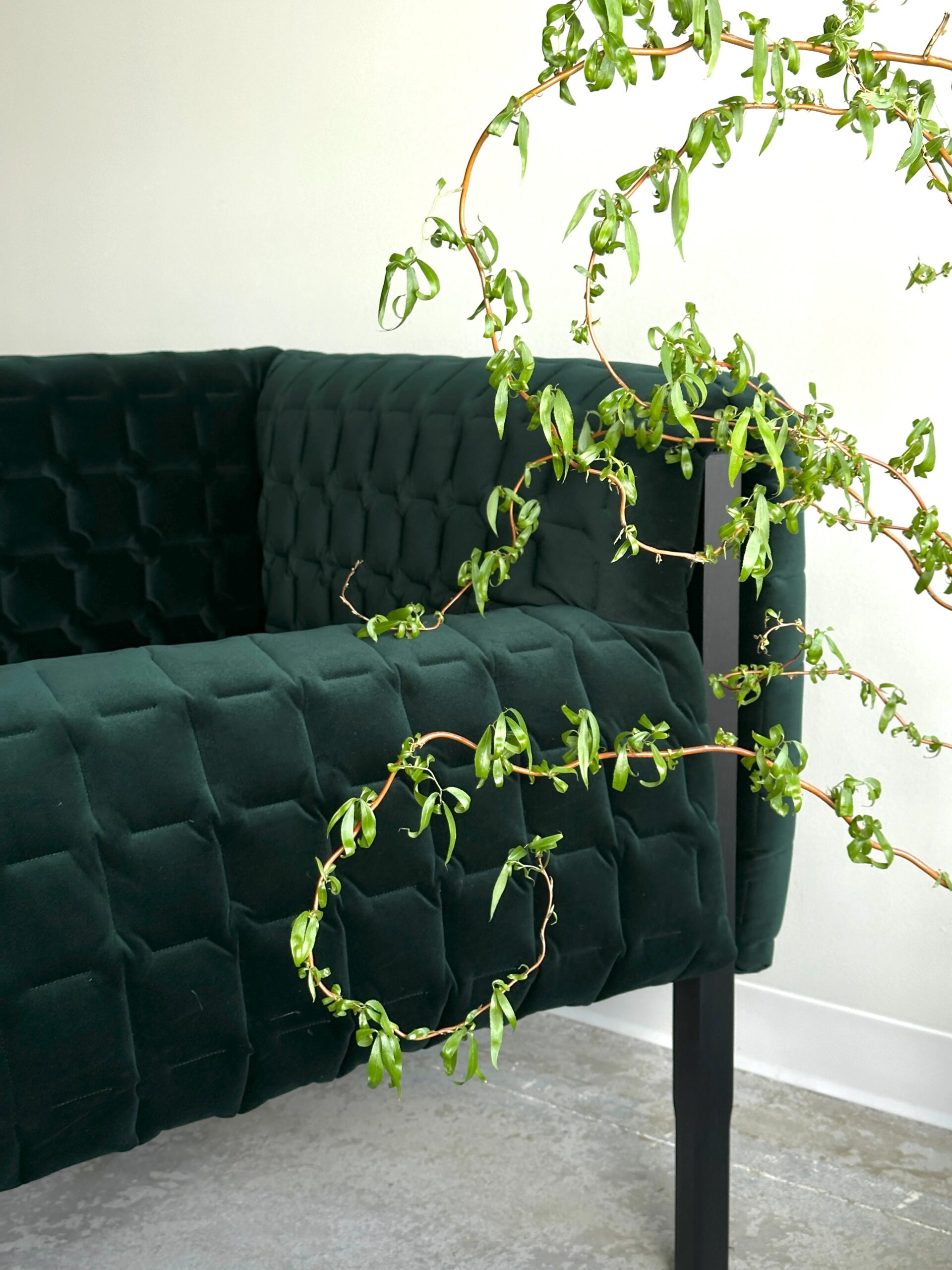 Fauteuil – LOS ANGELES - vue 14